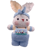Blue_Rabbit_1-removebg-preview Crochet Boneka Kelinci Cello